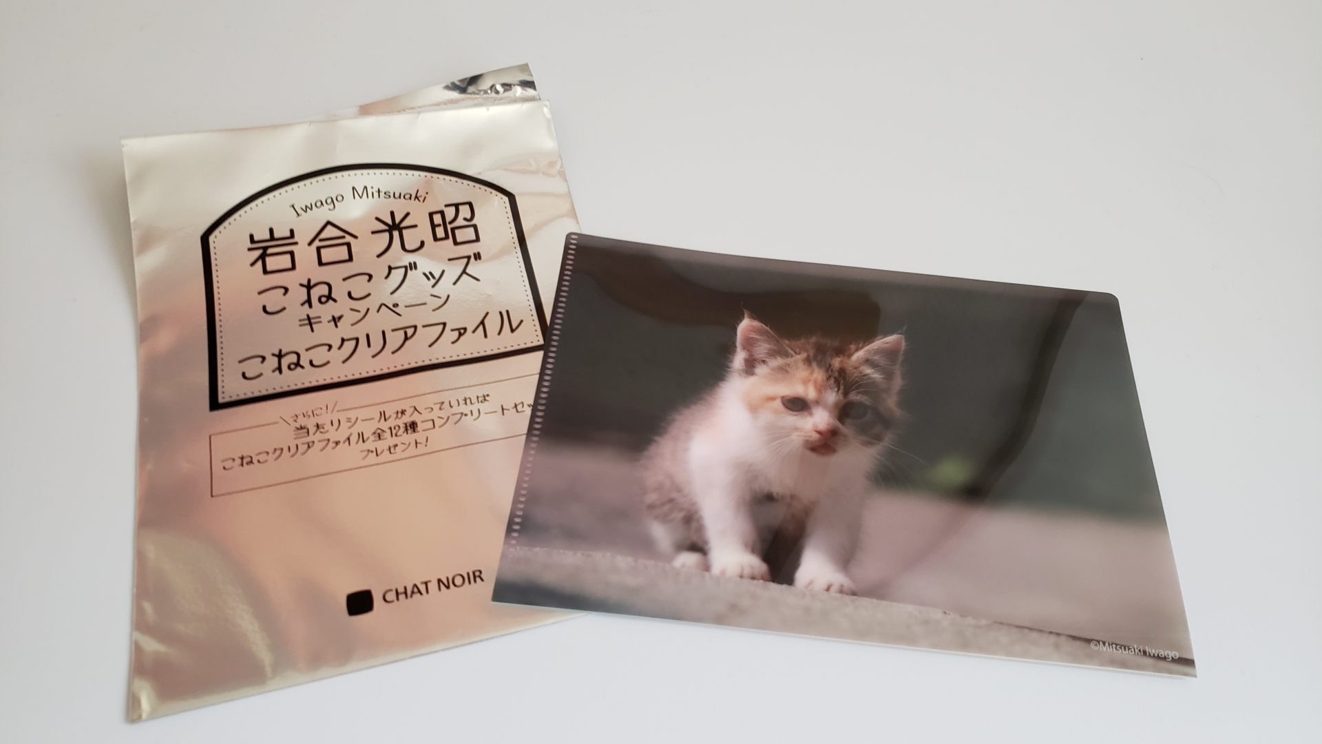 ベローチェ岩合光昭くじ2