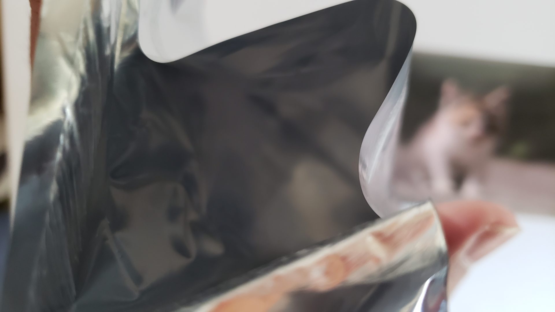 ベローチェ当りシール